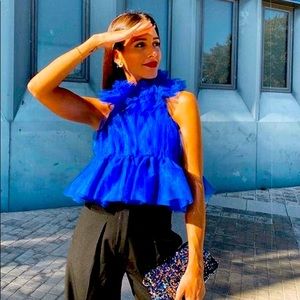 Zara NWTs tulle top